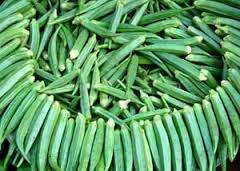 Fresh Okra