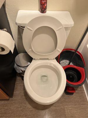 Toilet cleaning