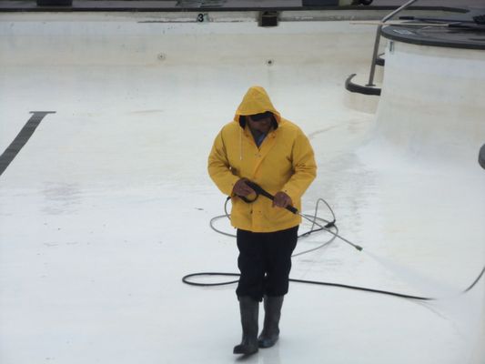 Wechsler cleans & preps pools for the season.