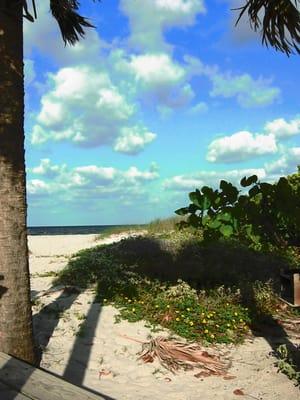 The view from John U Lloyd State Park.