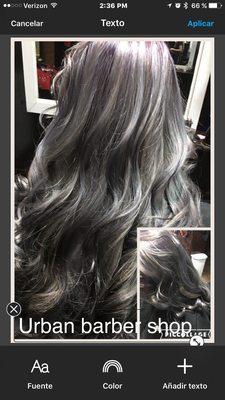 Silver  Hair Just in Urban