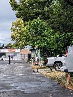 Not very welcoming, but a good representation of area. At least it's fenced.  Fire and police nearby based on the constant sirens.