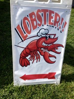 Maine Street Lobster, booth #14