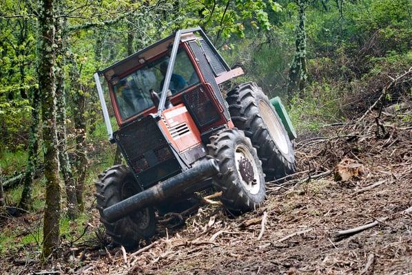 Clearing brush in Mishawaka, Indiana