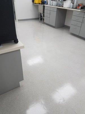 SGH Commercial Cleaning Services