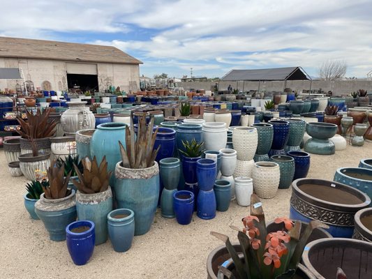 Thousands of pots to search through for that perfect one!