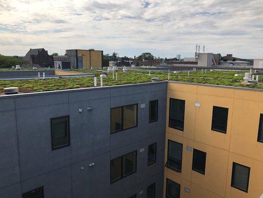 Green Roof Deck at Temple University - Skyline Apartments