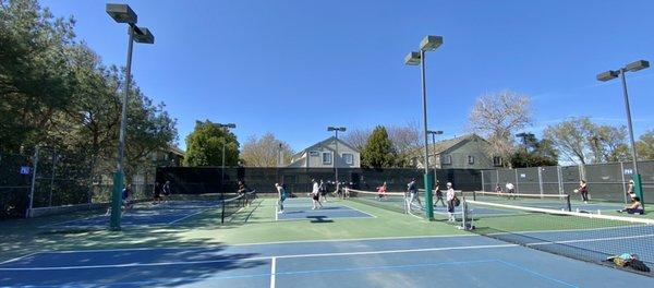 Walnut Park - 4 dedicated courts with lights