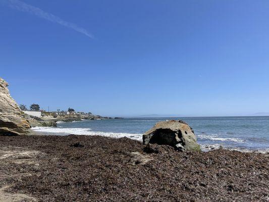 Beach are overtaken by seaweed