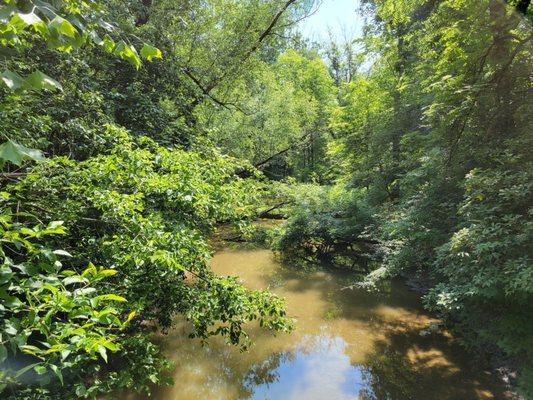 Blues Creek from the pedestrian bridge