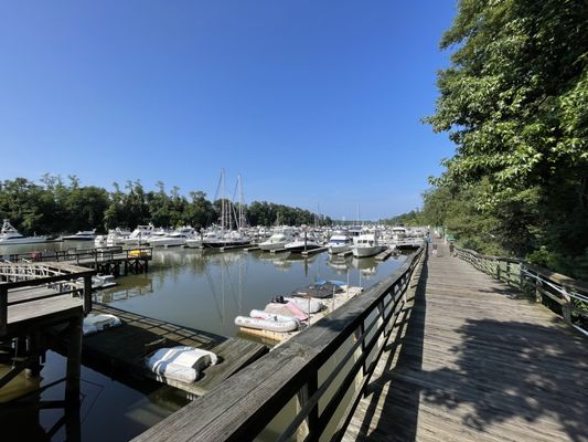 Looking over the docks