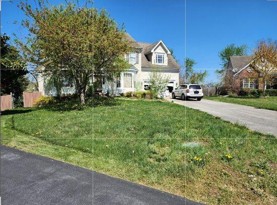 Over grown, unmainted property with broken garage door and a plethora of cats