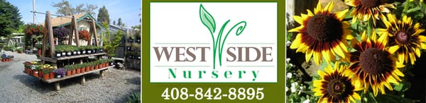 West Side Nursery