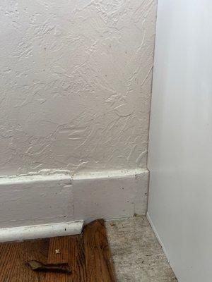 Tile grout mud on my walls from floor installation.