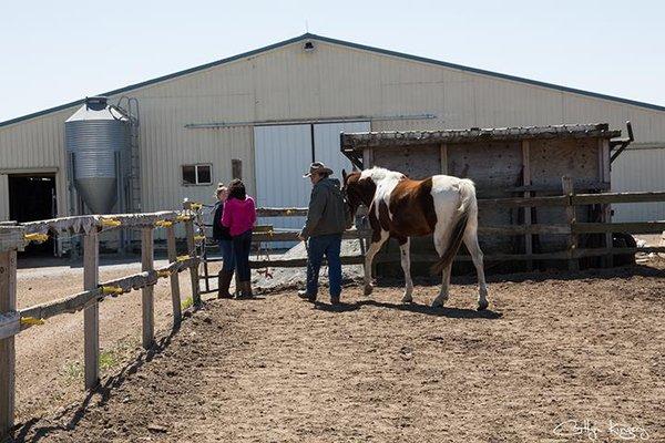 Shilo Ranch