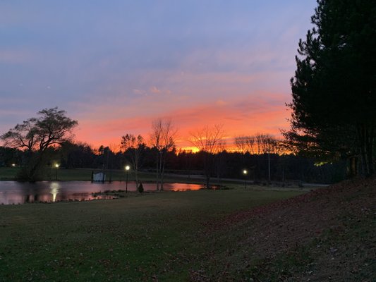 View from the back porch