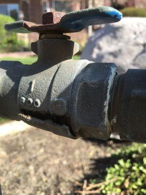 Freeze damage on backflow.