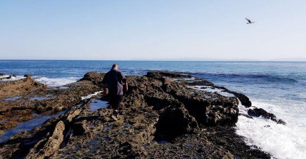 A walk on the tide pools