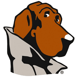 McGruff The Crime Dog!