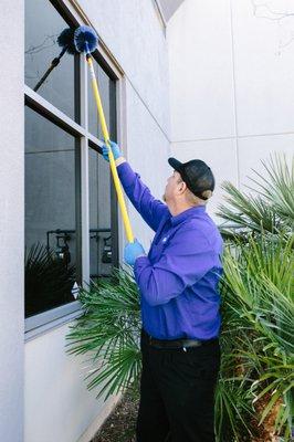 Spiderweb removal for homes and businesses