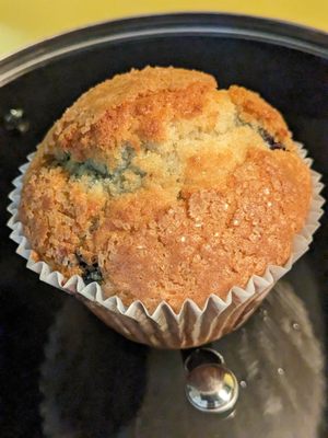 Blueberry Muffin... The Coffee Cake ones we bought didn't last long enough to photograph!