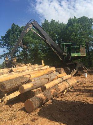 Rocky Branch Land and Timber