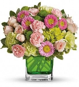 http://www.tfamericasflor­ist.com/bound-brook-florist/mothers-day-flowers-97c.asp?topnav=TopNav