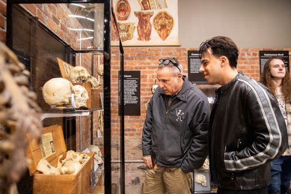 Uncover the roots of medical education at The Bone Museum with our half-skeleton bone boxes.