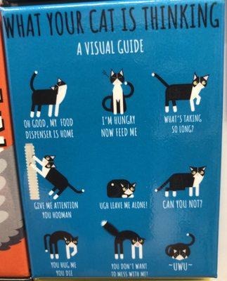 10/24/20. Funny magnet. What your cat is thinking-a visual guide. It looks like our cat, Shadow, with yellow eyes and all!!