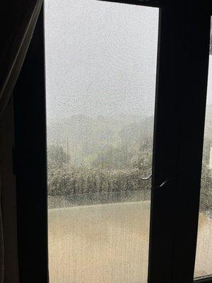 My sparkling clean windows were ruined by the rain - but Stewart's has a 5 day rain guarantee