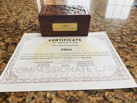 Chico's Urn and Certificate of Aqua Cremation