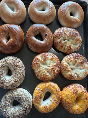 Some of our yummy assortment of bagels