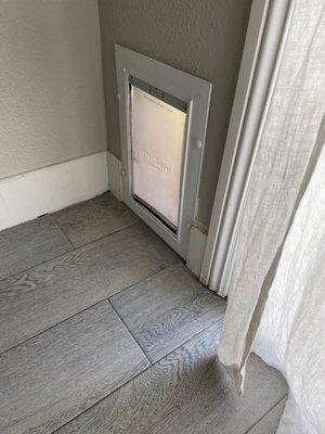 Installed wall doggy door