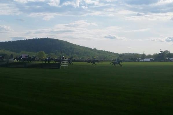 Watching the horsies at Virginia Gold Cup!!