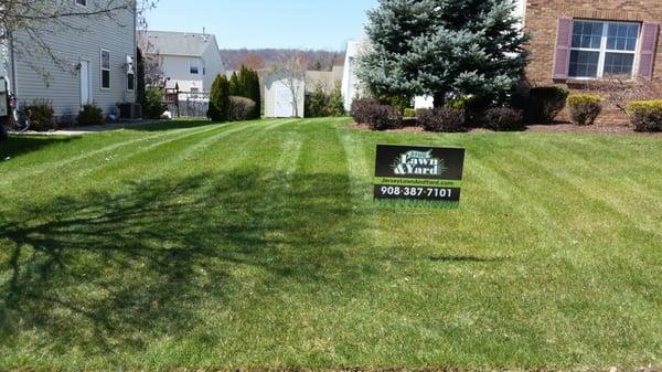 Jersey Lawn and Yard, Glen Gardner, NJ 08826 www.jerseylawnandyard.com