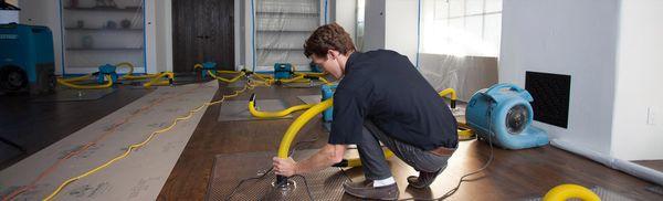 Drying-in-place is a great solution for trying to salvage hardwood floors.