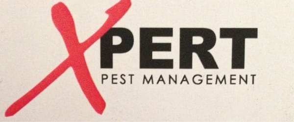 X-Pert Pest Control