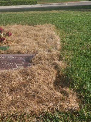 Our Lady Queen Of Peace Catholic Cemetery