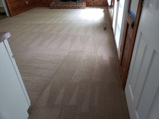 Carpet Cleaning-Midlothian-Virginia