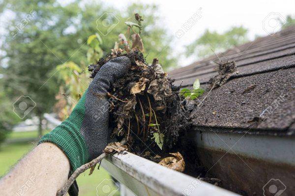 We'll clean out gutters so debris doesn't build up and create leaks.