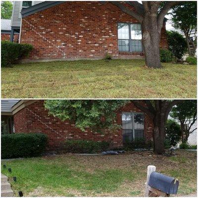 Before and After Sod installation