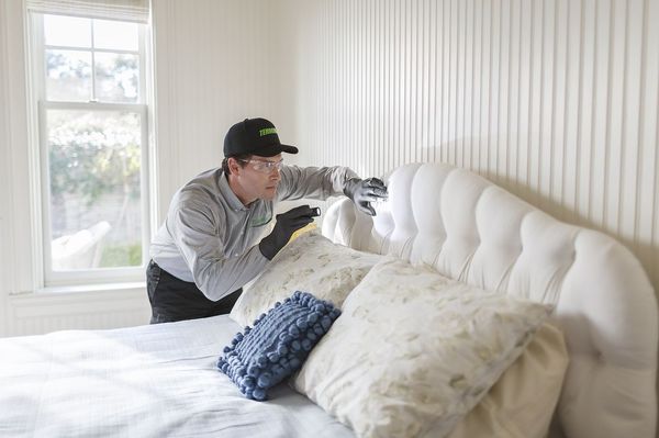 Get guaranteed bed bug solutions from Terminix® and get back to sleep.