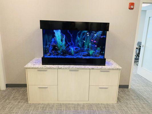 90 Gallon Freshwater Aquarium set up two years ago
With custom top and bottom filtration in middle cabinet