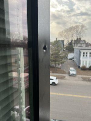 Third floor living room hit by a stray bullet.