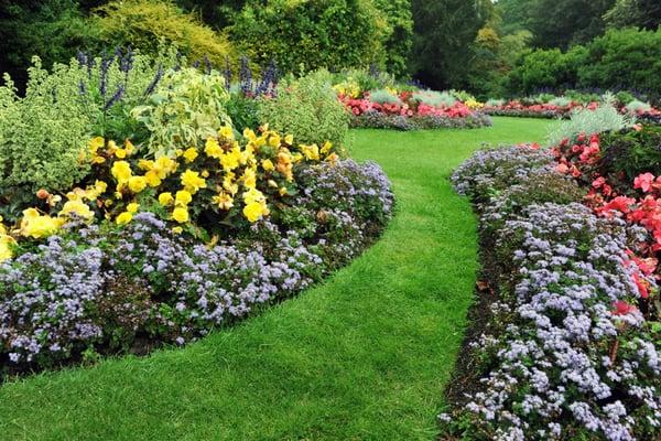 Professional landscaping service in Knoxville and Oak Ridge, Tennessee