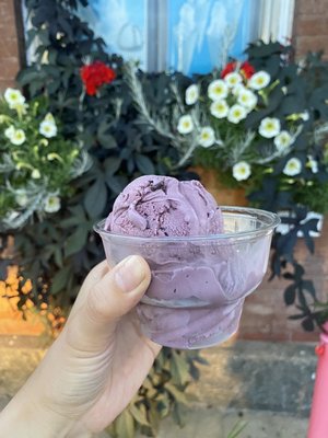 Black raspberry with chocolate chip yogurt