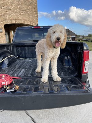 Baker ready for work