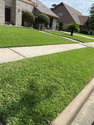 mowing the grass