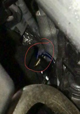 Chewed through wires costing $6500 in repairs that Private Car Storage will not cover