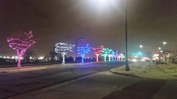 Town Center Plaza:  Outside Entrance, off SE 29th Street:  Christmas Lights